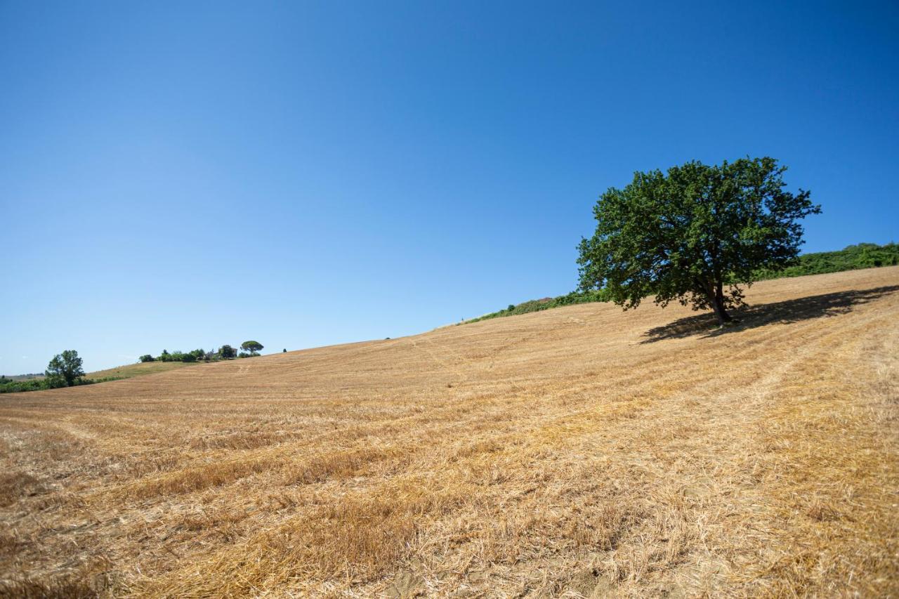 Agriturismo Cappellese Castelnuovo della Misericordia Eksteriør bilde