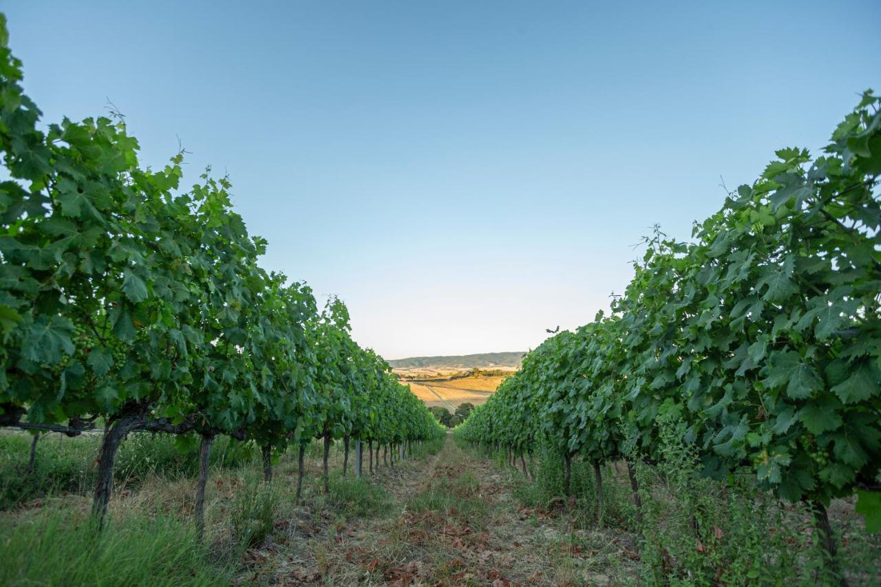 Agriturismo Cappellese Castelnuovo della Misericordia Eksteriør bilde