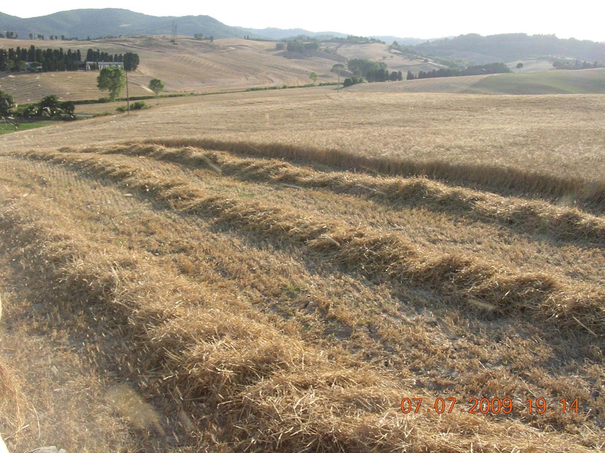 Agriturismo Cappellese Castelnuovo della Misericordia Eksteriør bilde